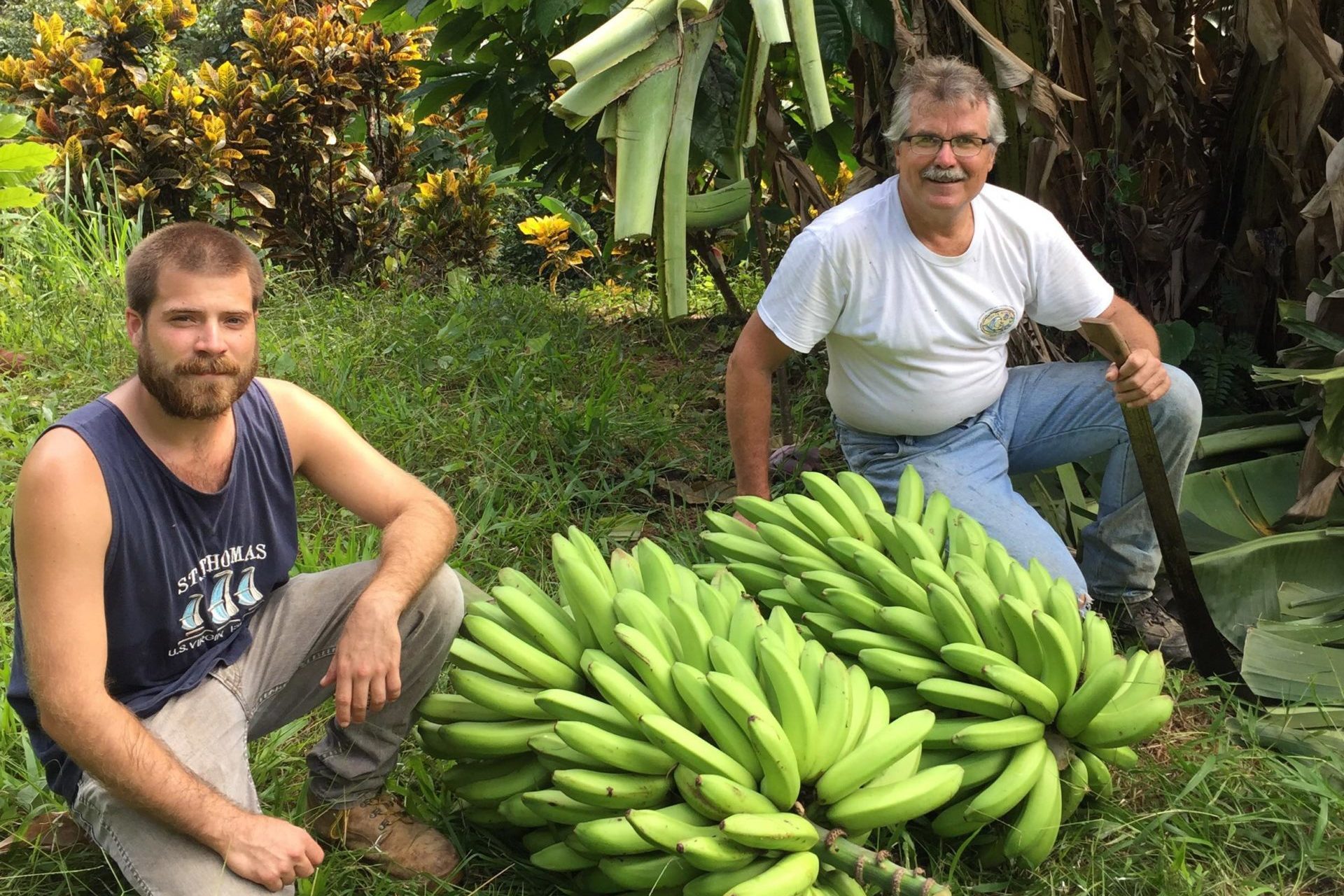 Bryan and David Brunner with Goldfinger bananas