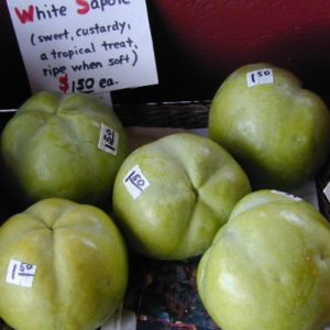 White Sapote (Casimiroa edulis)