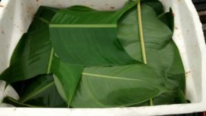 Fermenting Cacao Seeds Covered With Banana Leaves