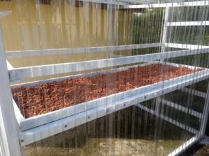 Solar Dryer for Cacao Beans