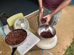 Winnowing Cacao Nibs